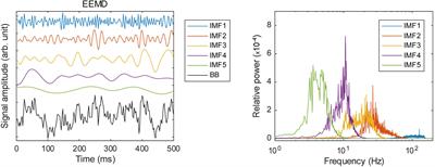 Neural Decoding of Multi-Modal Imagery Behavior Focusing on Temporal Complexity